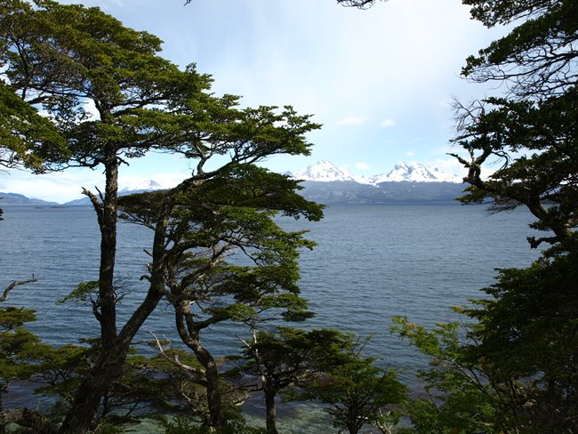../../Pictures/231209/094 Nationalpark Tierra del Fuego.JPG